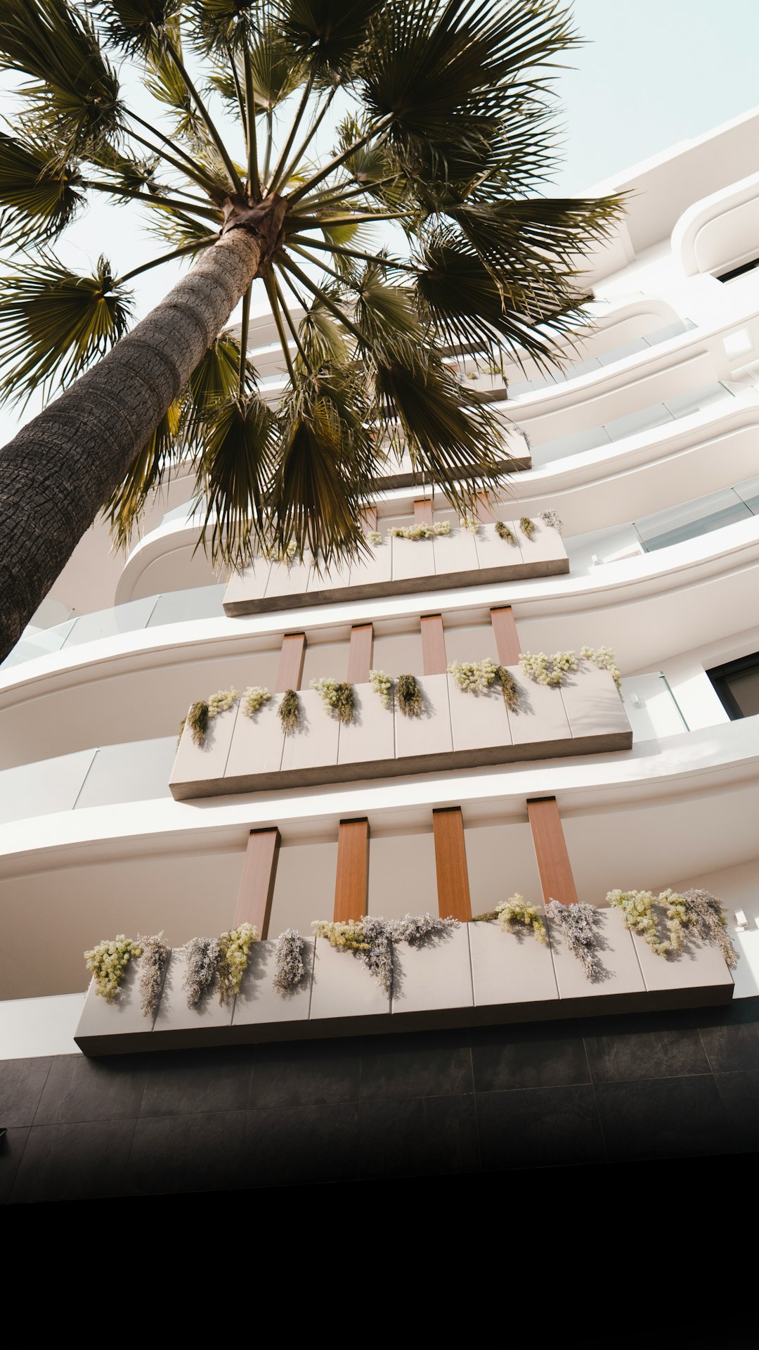 Contemporary House Design